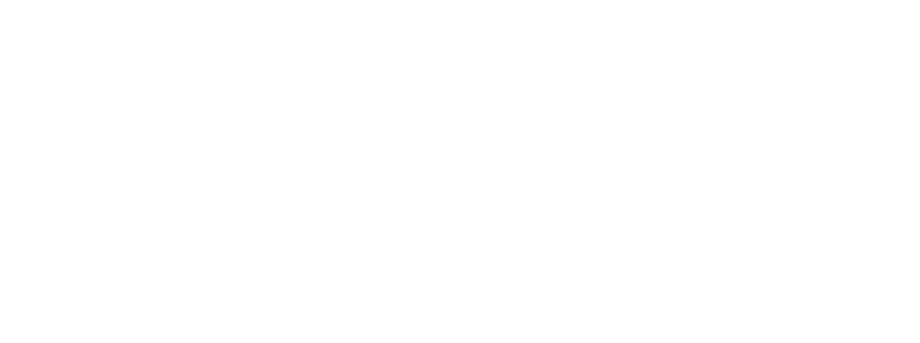 SPAP Technology Solutions Logo
