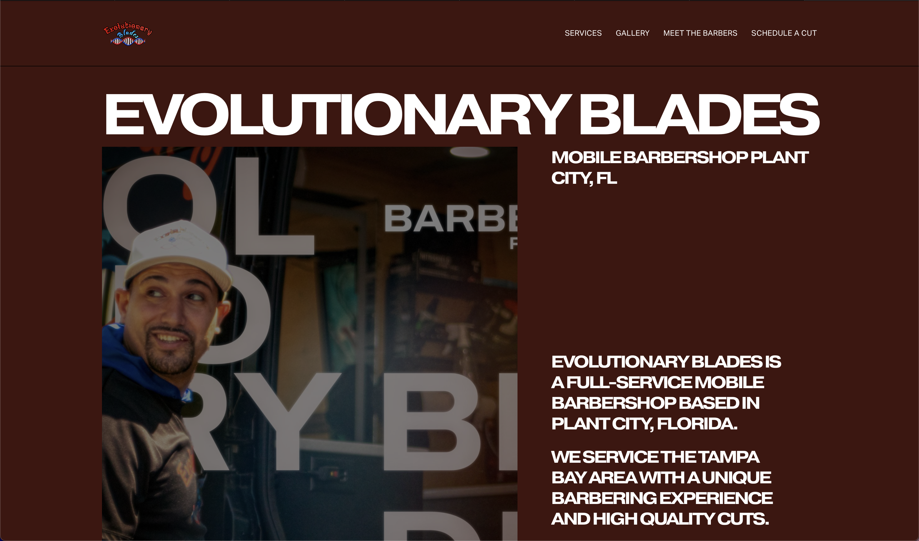 EvoBlades Website